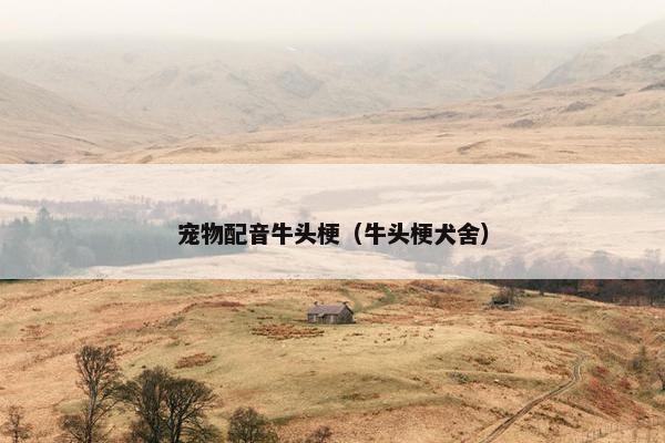 宠物配音牛头梗（牛头梗犬舍）