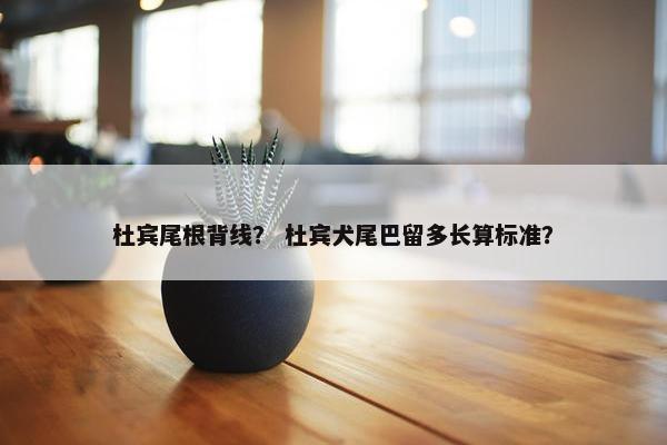 杜宾尾根背线？ 杜宾犬尾巴留多长算标准？