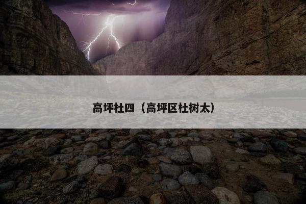 高坪杜四（高坪区杜树太）