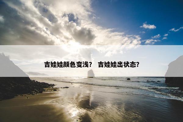 吉娃娃颜色变浅？ 吉娃娃出状态？