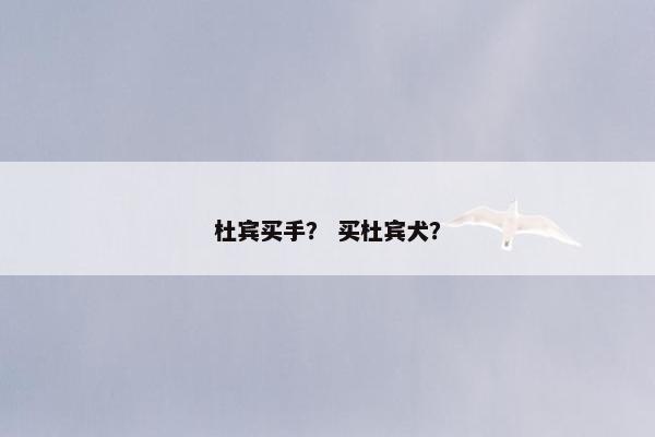 杜宾买手？ 买杜宾犬？