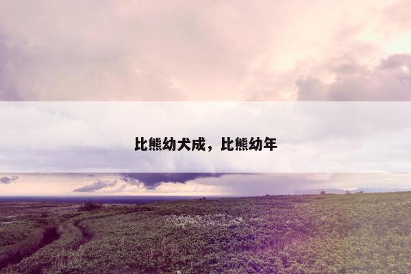 比熊幼犬成，比熊幼年