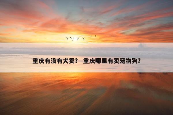 重庆有没有犬卖？ 重庆哪里有卖宠物狗？