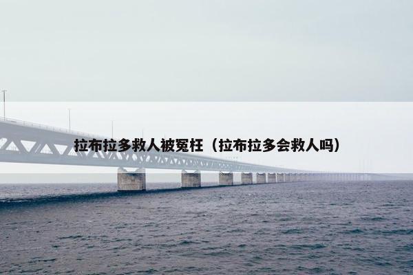 拉布拉多救人被冤枉（拉布拉多会救人吗）