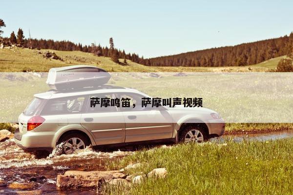 萨摩鸣笛，萨摩叫声视频