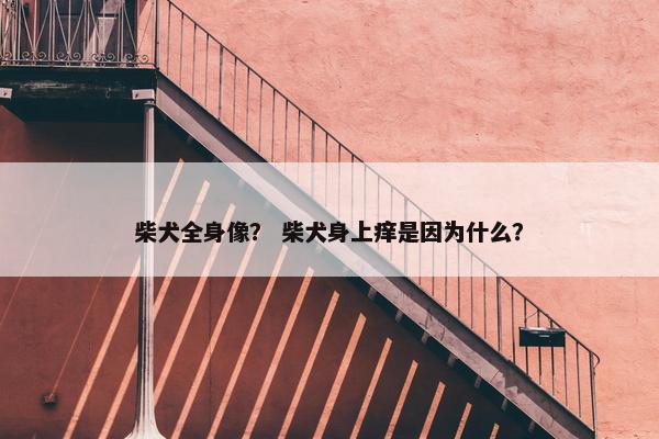 柴犬全身像？ 柴犬身上痒是因为什么？