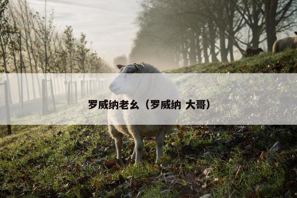 罗威纳老幺（罗威纳 大哥）