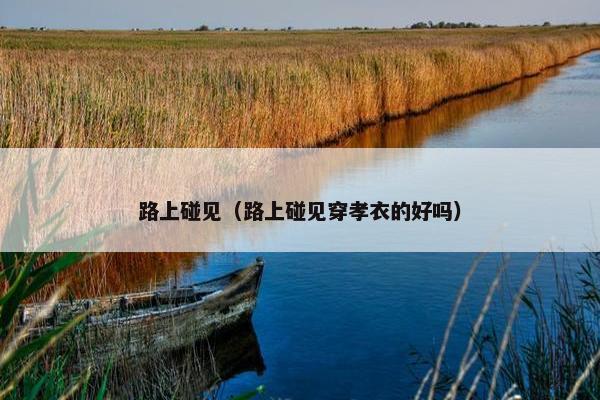 路上碰见（路上碰见穿孝衣的好吗）