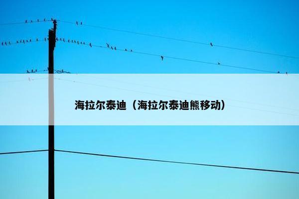 海拉尔泰迪（海拉尔泰迪熊移动）