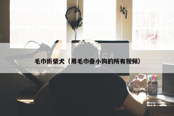 毛巾折柴犬（用毛巾叠小狗的所有视频）