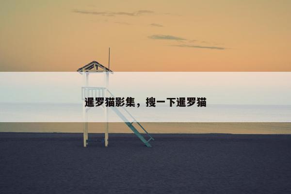 暹罗猫影集，搜一下暹罗猫