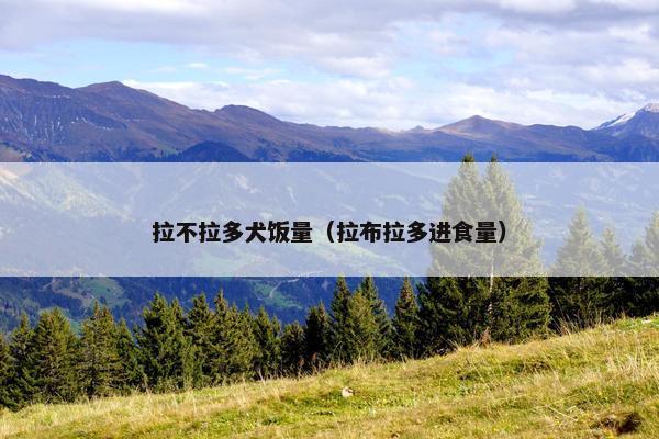 拉不拉多犬饭量（拉布拉多进食量）