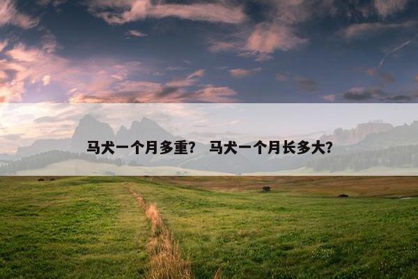 马犬一个月多重？ 马犬一个月长多大？
