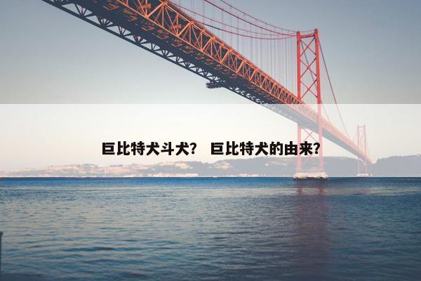 巨比特犬斗犬？ 巨比特犬的由来？