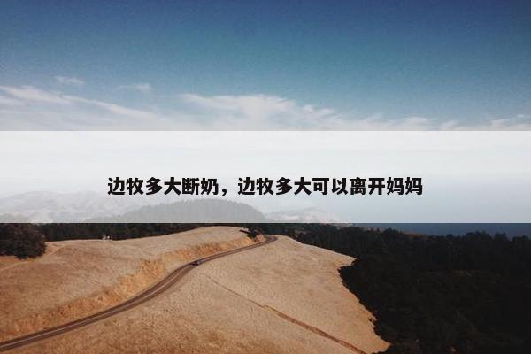 边牧多大断奶，边牧多大可以离开妈妈