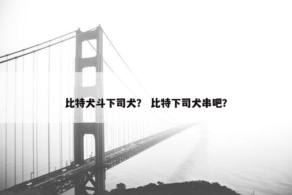 比特犬斗下司犬？ 比特下司犬串吧？