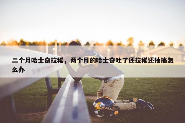 二个月哈士奇拉稀，两个月的哈士奇吐了还拉稀还抽搐怎么办