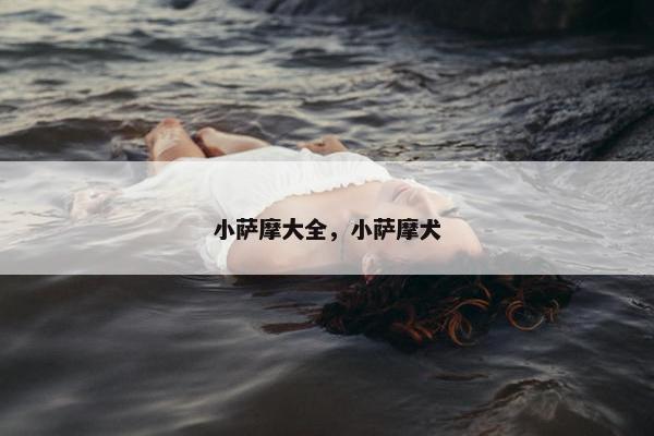 小萨摩大全，小萨摩犬