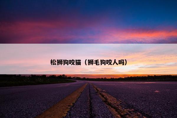 松狮狗咬猫（狮毛狗咬人吗）