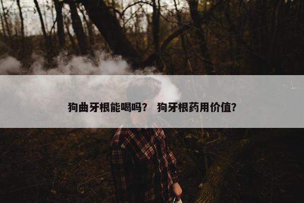 狗曲牙根能喝吗？ 狗牙根药用价值？