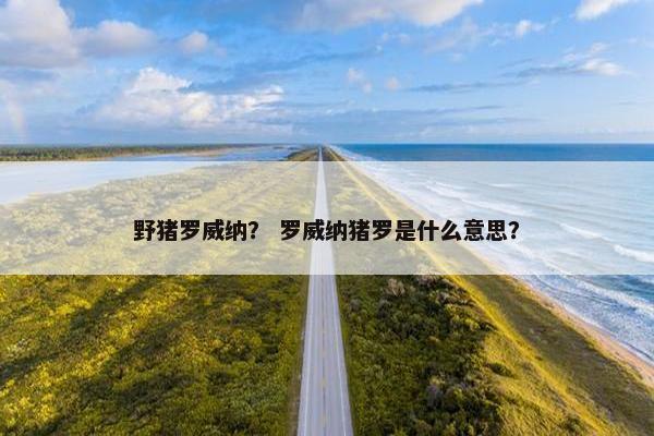 野猪罗威纳？ 罗威纳猪罗是什么意思？