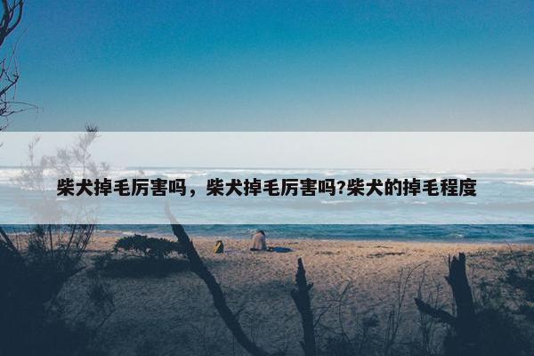 柴犬掉毛厉害吗，柴犬掉毛厉害吗?柴犬的掉毛程度