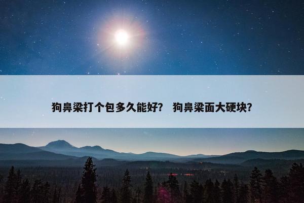 狗鼻梁打个包多久能好？ 狗鼻梁面大硬块？