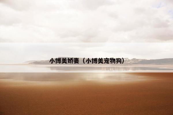 小博美娇妻（小博美宠物狗）