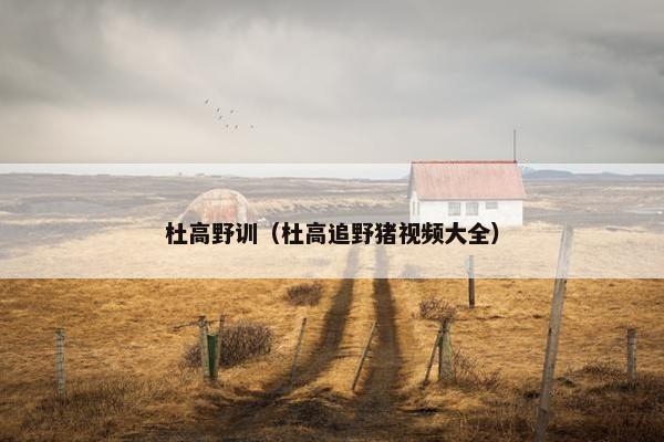 杜高野训（杜高追野猪视频大全）