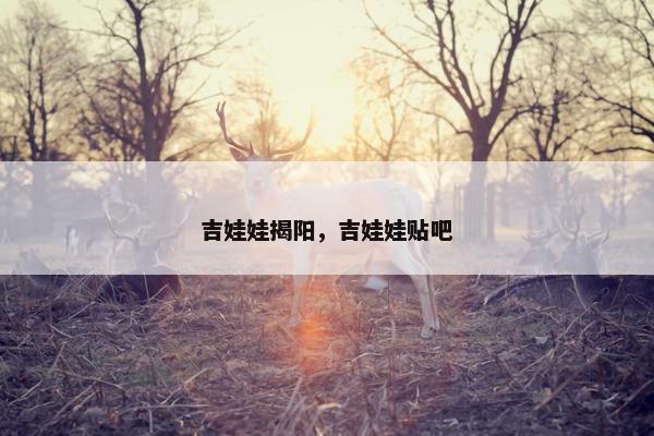 吉娃娃揭阳，吉娃娃贴吧