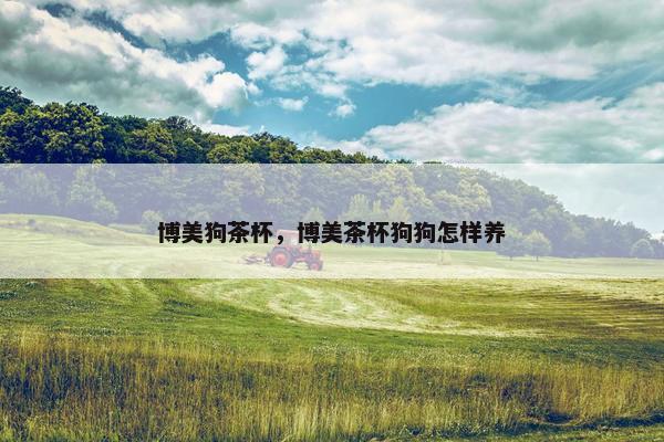 博美狗茶杯，博美茶杯狗狗怎样养