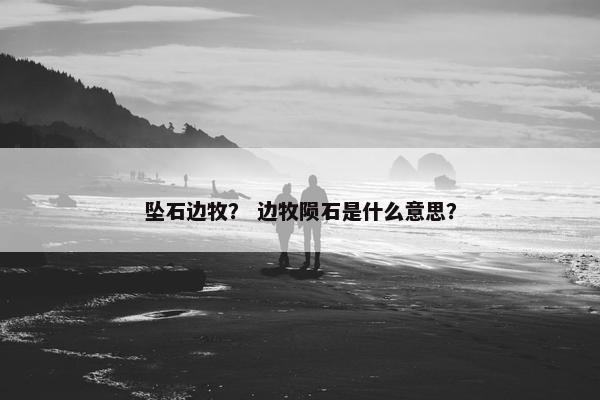 坠石边牧？ 边牧陨石是什么意思？