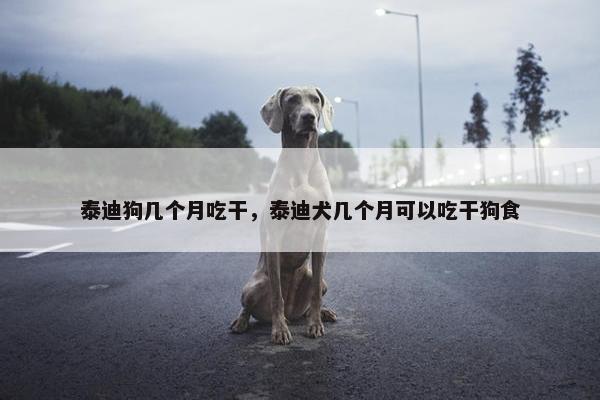 泰迪狗几个月吃干，泰迪犬几个月可以吃干狗食
