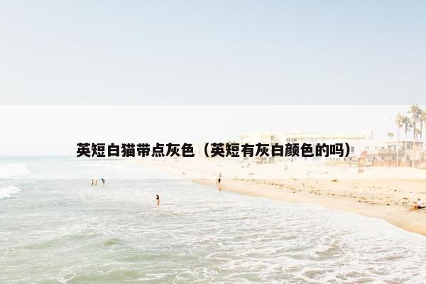 英短白猫带点灰色（英短有灰白颜色的吗）