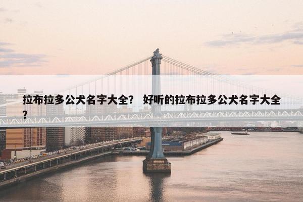 拉布拉多公犬名字大全？ 好听的拉布拉多公犬名字大全？