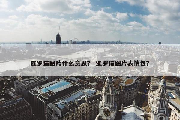 暹罗猫图片什么意思？ 暹罗猫图片表情包？