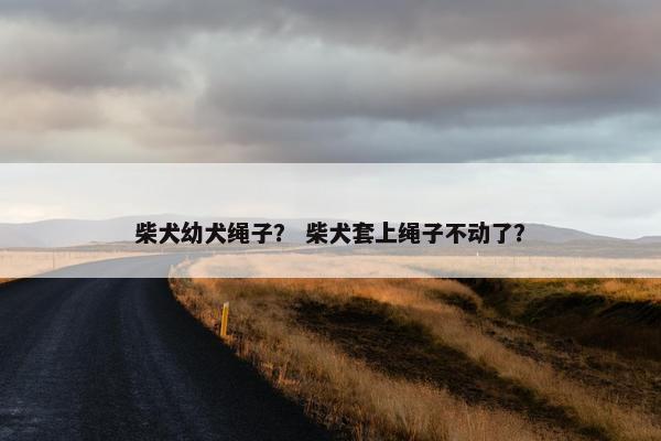 柴犬幼犬绳子？ 柴犬套上绳子不动了？