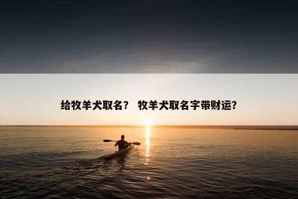 给牧羊犬取名？ 牧羊犬取名字带财运？