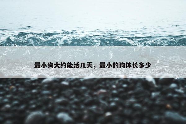 最小狗大约能活几天，最小的狗体长多少