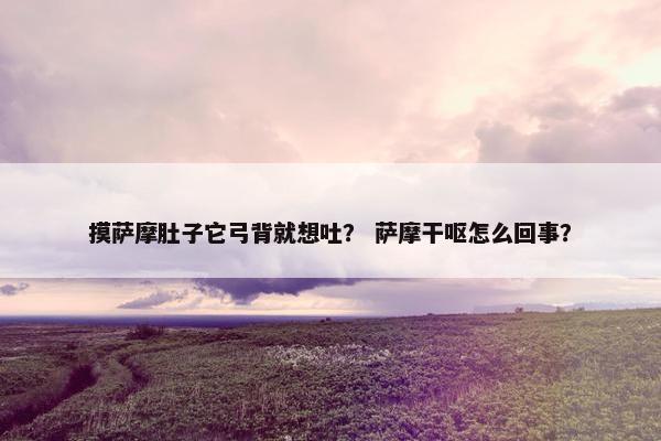 摸萨摩肚子它弓背就想吐？ 萨摩干呕怎么回事？