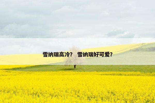 雪纳瑞高冷？ 雪纳瑞好可爱？