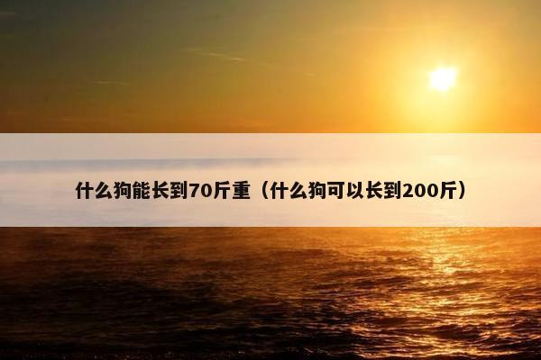 什么狗能长到70斤重（什么狗可以长到200斤）