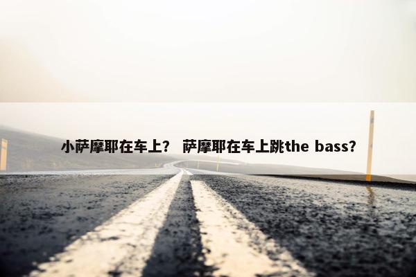 小萨摩耶在车上？ 萨摩耶在车上跳the bass？