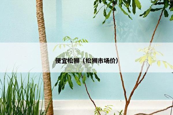 便宜松狮（松狮市场价）