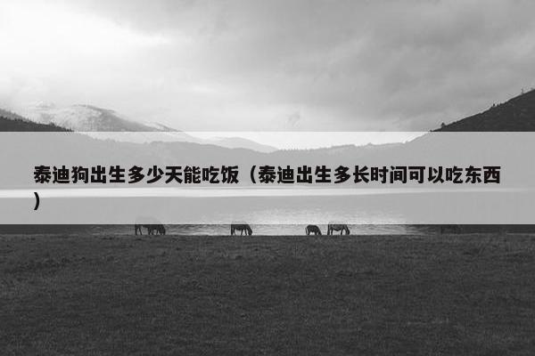 泰迪狗出生多少天能吃饭（泰迪出生多长时间可以吃东西）