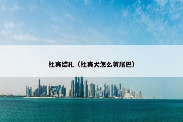 杜宾结扎（杜宾犬怎么剪尾巴）