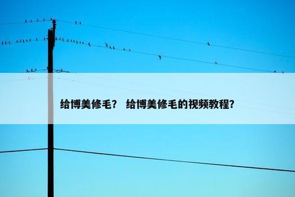 给博美修毛？ 给博美修毛的视频教程？