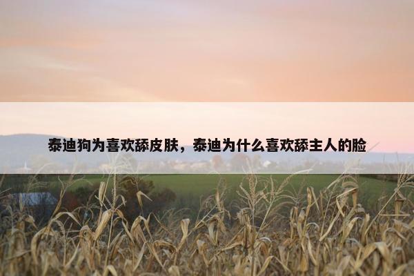 泰迪狗为喜欢舔皮肤，泰迪为什么喜欢舔主人的脸