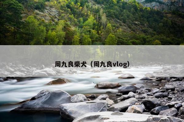 周九良柴犬（周九良vlog）