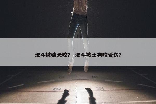 法斗被柴犬咬？ 法斗被土狗咬受伤？
